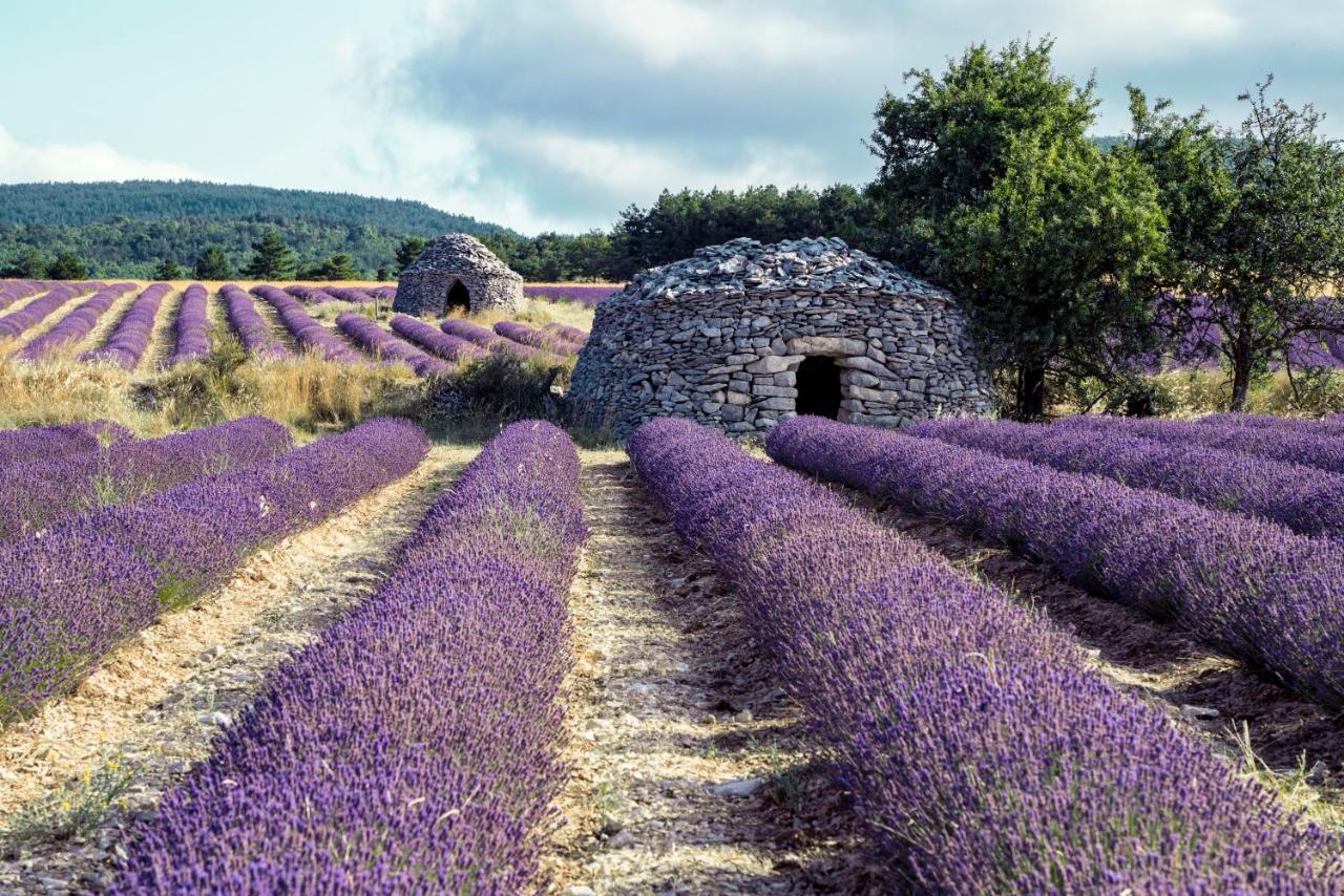 Gite La Bastide De La Loge Au Pied Du Mont Ventoux Sault-de-Vaucluse Ngoại thất bức ảnh