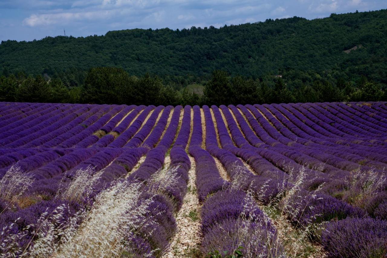 Gite La Bastide De La Loge Au Pied Du Mont Ventoux Sault-de-Vaucluse Ngoại thất bức ảnh